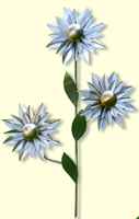 Edle_Blume_BL-S3-3_klein